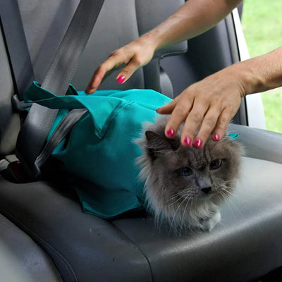 PawVoyager – Sac de transport bandoulière pour animaux