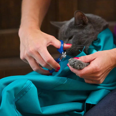 PawVoyager – Sac de transport bandoulière pour animaux