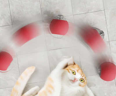 RollRaptor – Balle interactive pour animaux