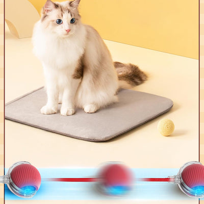 RollRaptor – Balle interactive pour animaux
