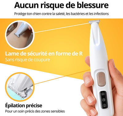PawLight Pro – Tondeuse LED Étanche pour Pattes de Chien | Toilettage Facile & Sûr