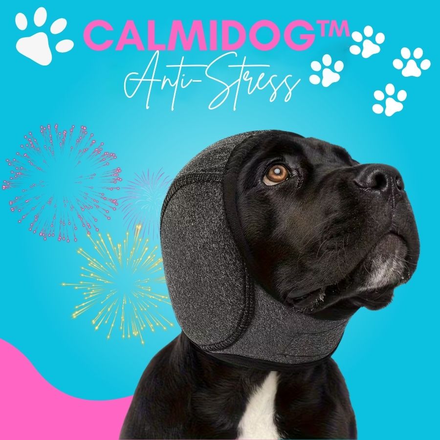 CalmiDog™ | Anti-Stress