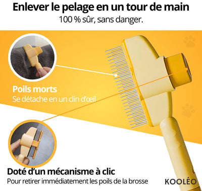 PoilStop – Toilettage Express