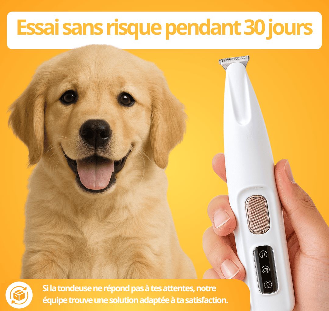 PawLight Pro – Tondeuse LED Étanche pour Pattes de Chien | Toilettage Facile & Sûr