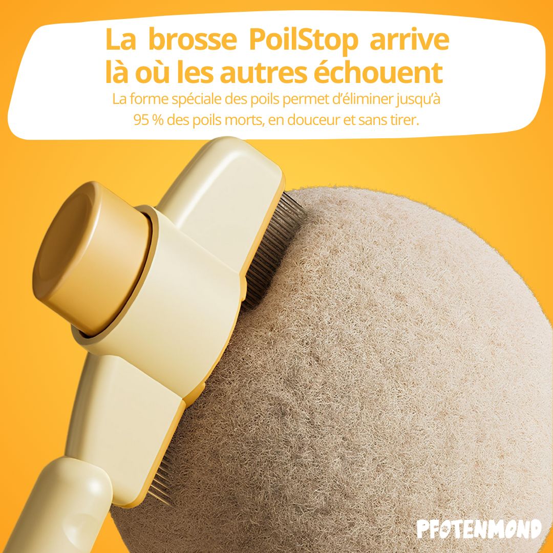 PoilStop – Toilettage Express