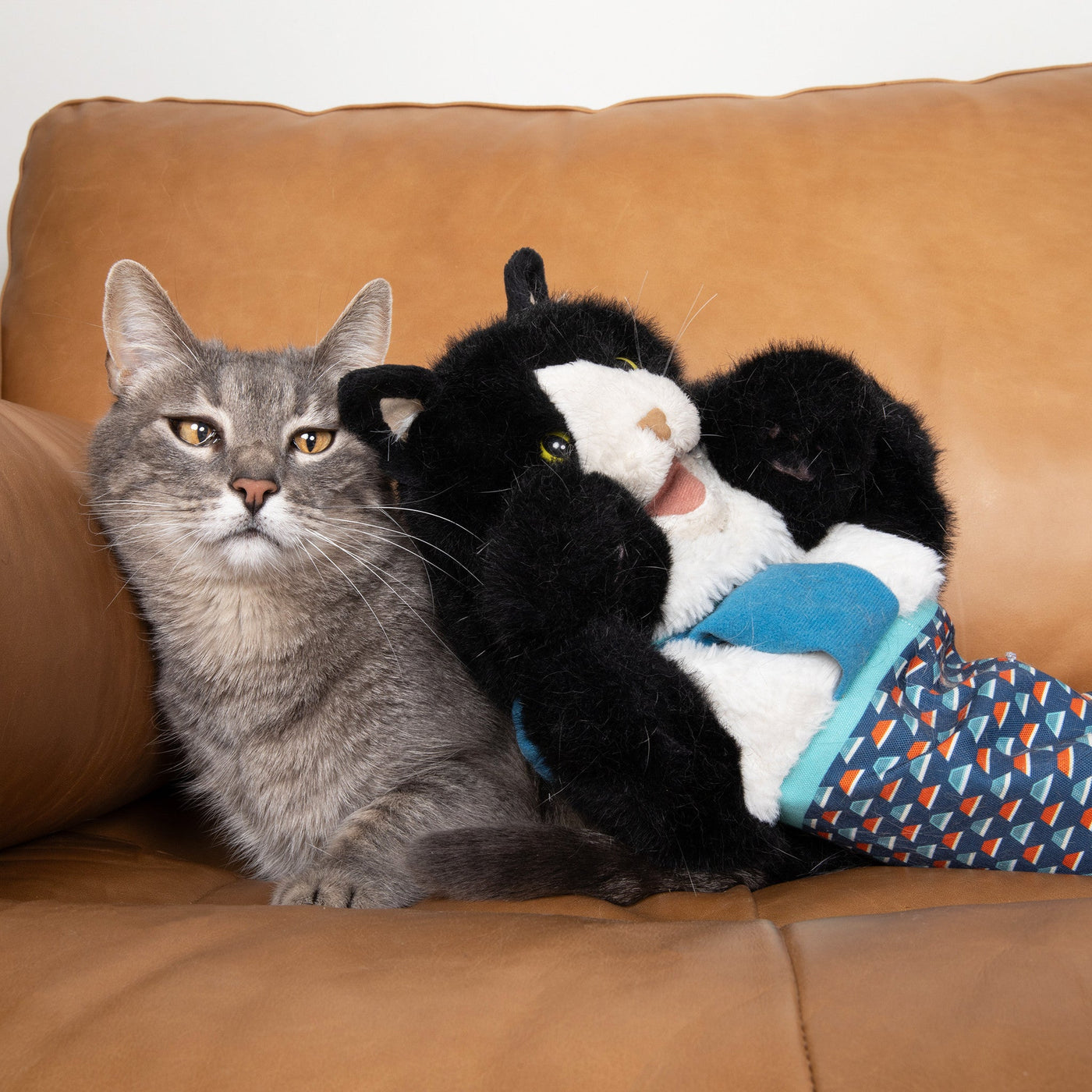 PawPuppet – Gant de jeu interactif pour animaux