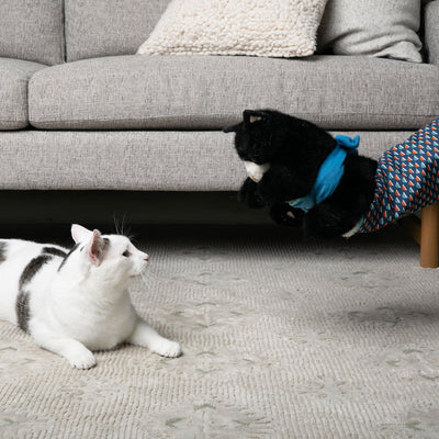 PawPuppet – Gant de jeu interactif pour animaux
