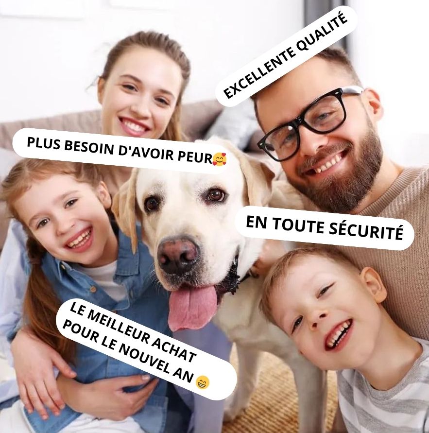 CalmiDog™ | Anti-Stress