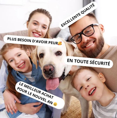 CalmiDog™ | Anti-Stress