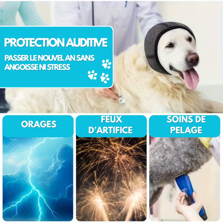 CalmiDog™ | Anti-Stress