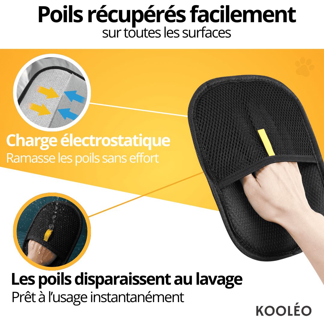 Poil’Net — Ramassage Facile