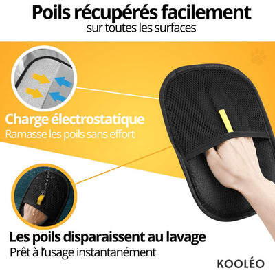 Poil’Net — Ramassage Facile