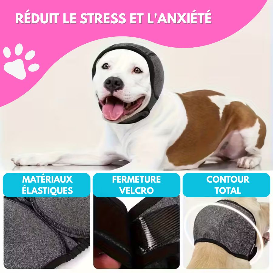 CalmiDog™ | Anti-Stress