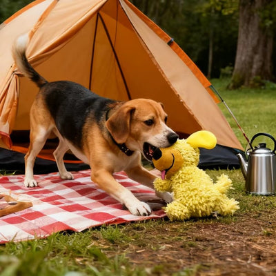 Croq’Peluche™ | Jeu Infini