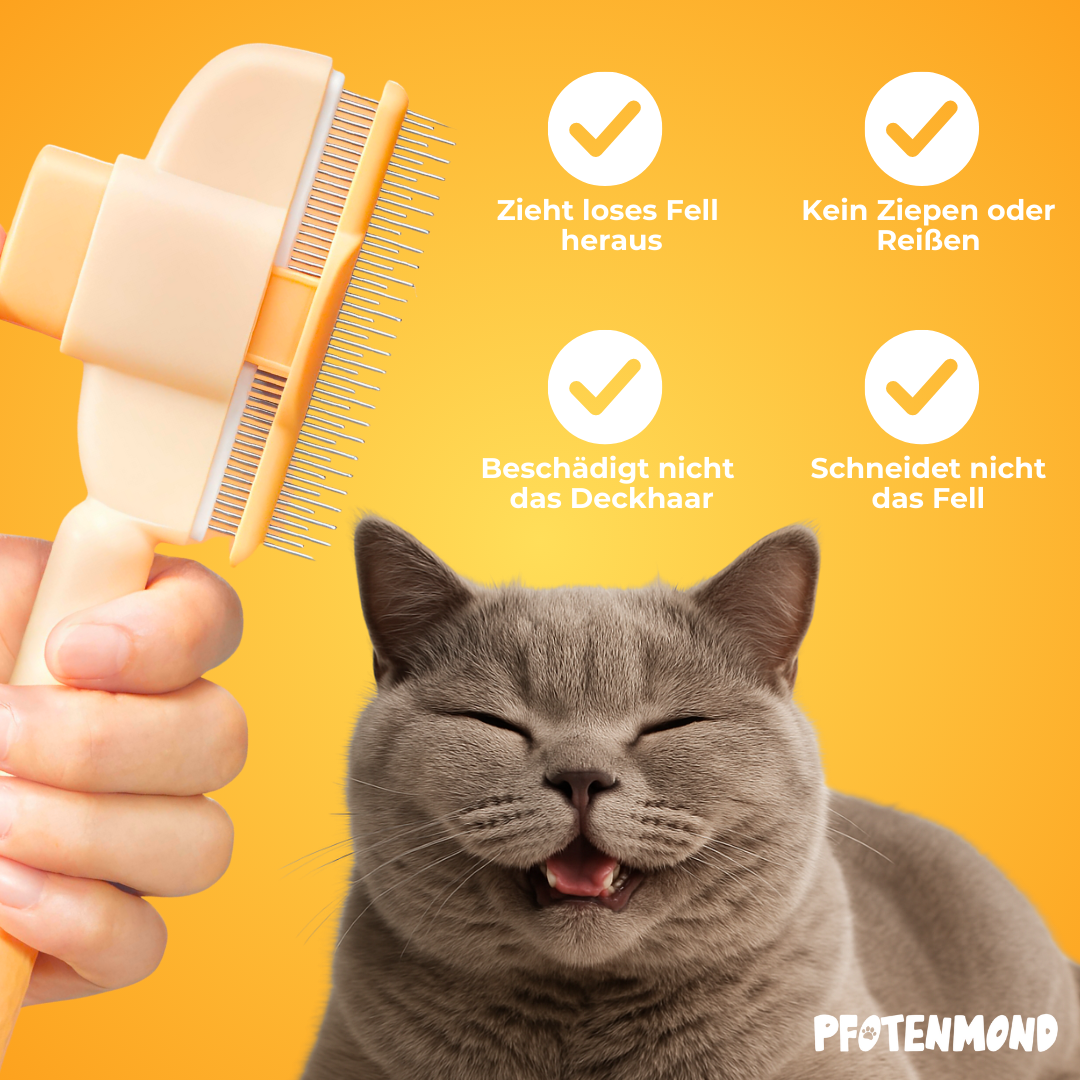 PoilStop – Toilettage Express