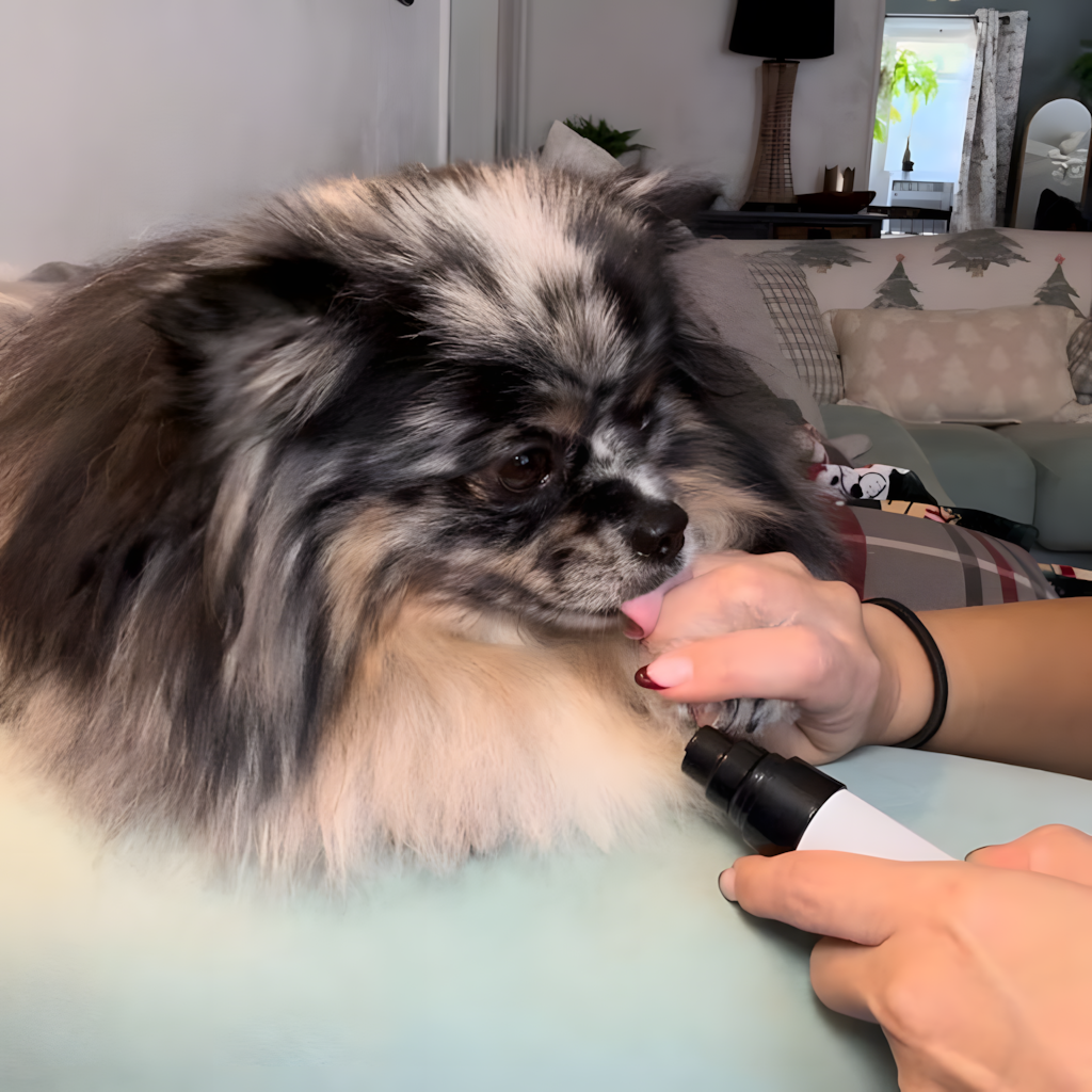 GriffZen – Silence Total 🐾