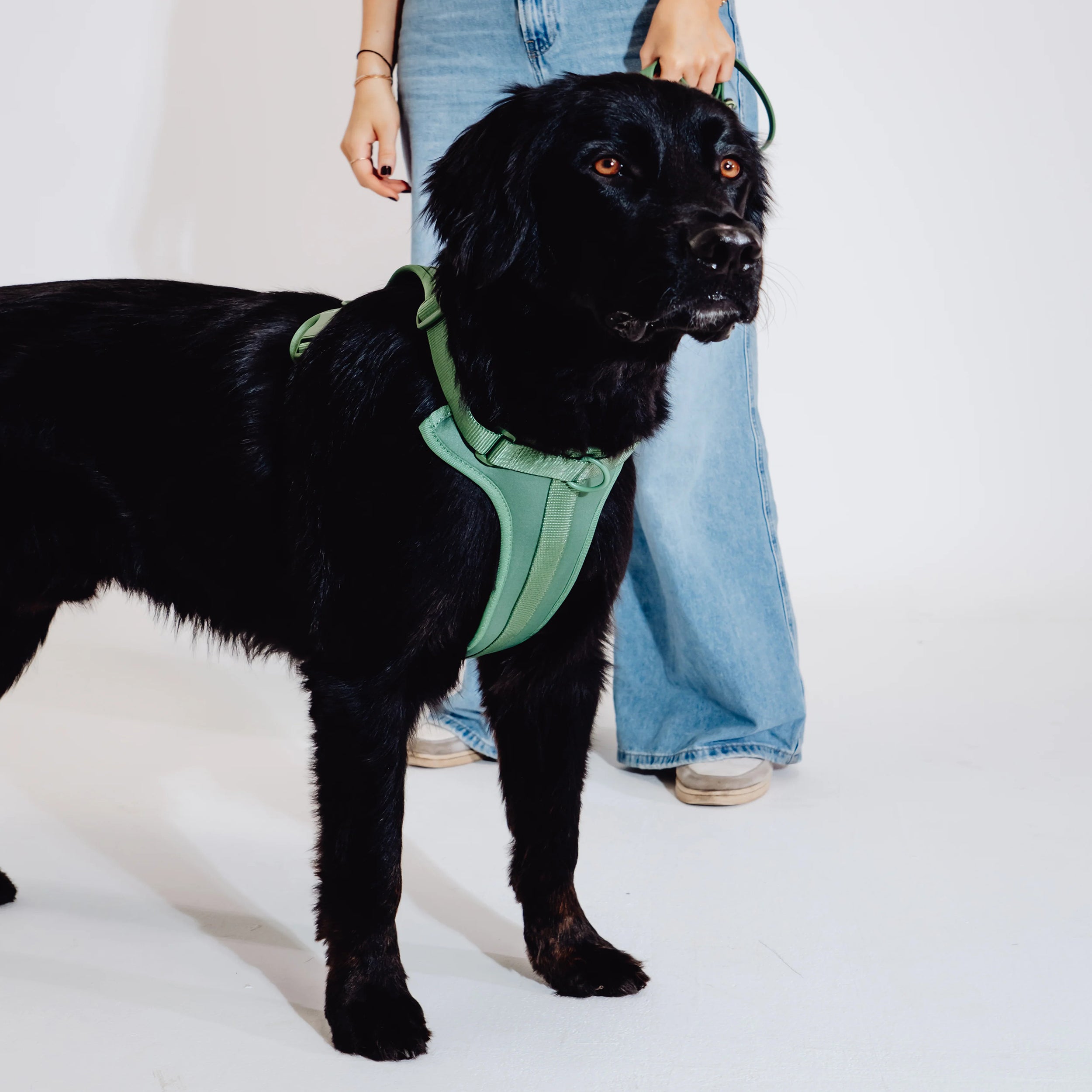 Image large personnalisée